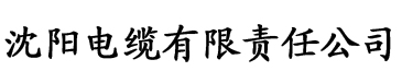 狠狠干影院香蕉电缆厂logo